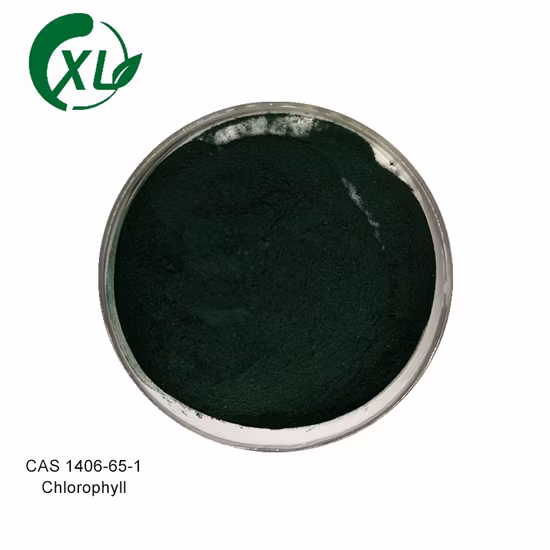 Bulk Selling Quality Fine Chemical Chlorophyll a CAS 479-61-8